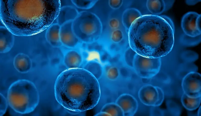 2024's Cell Therapy Industry Landscape: Trends Shaping the Future of Healthcare